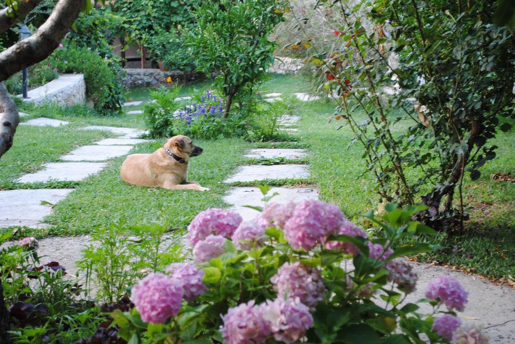 Kleo Cottages Kalkan Szoba fotó