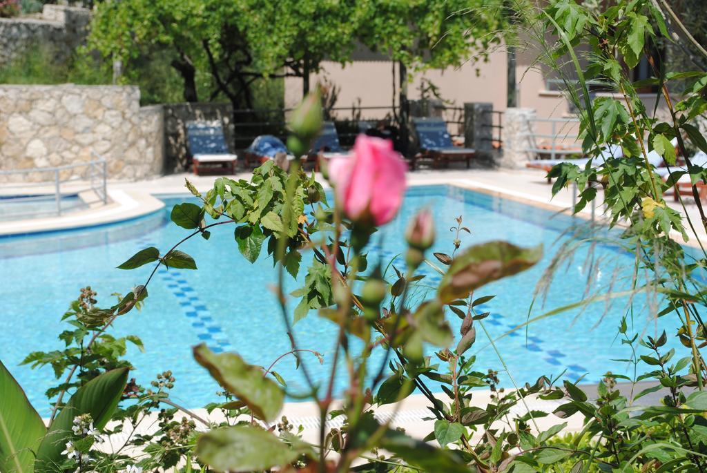 Kleo Cottages Kalkan Szoba fotó