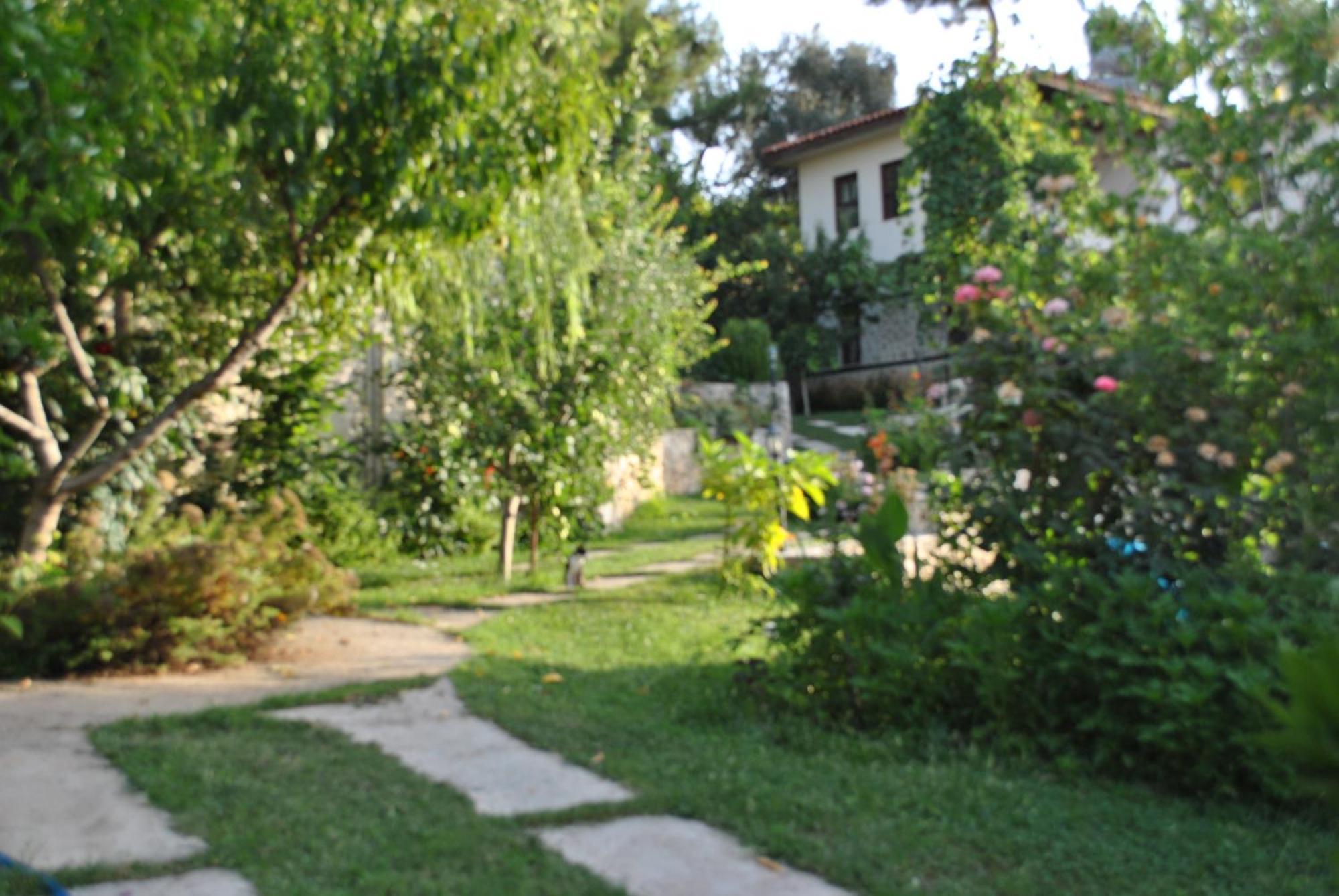 Kleo Cottages Kalkan Kültér fotó