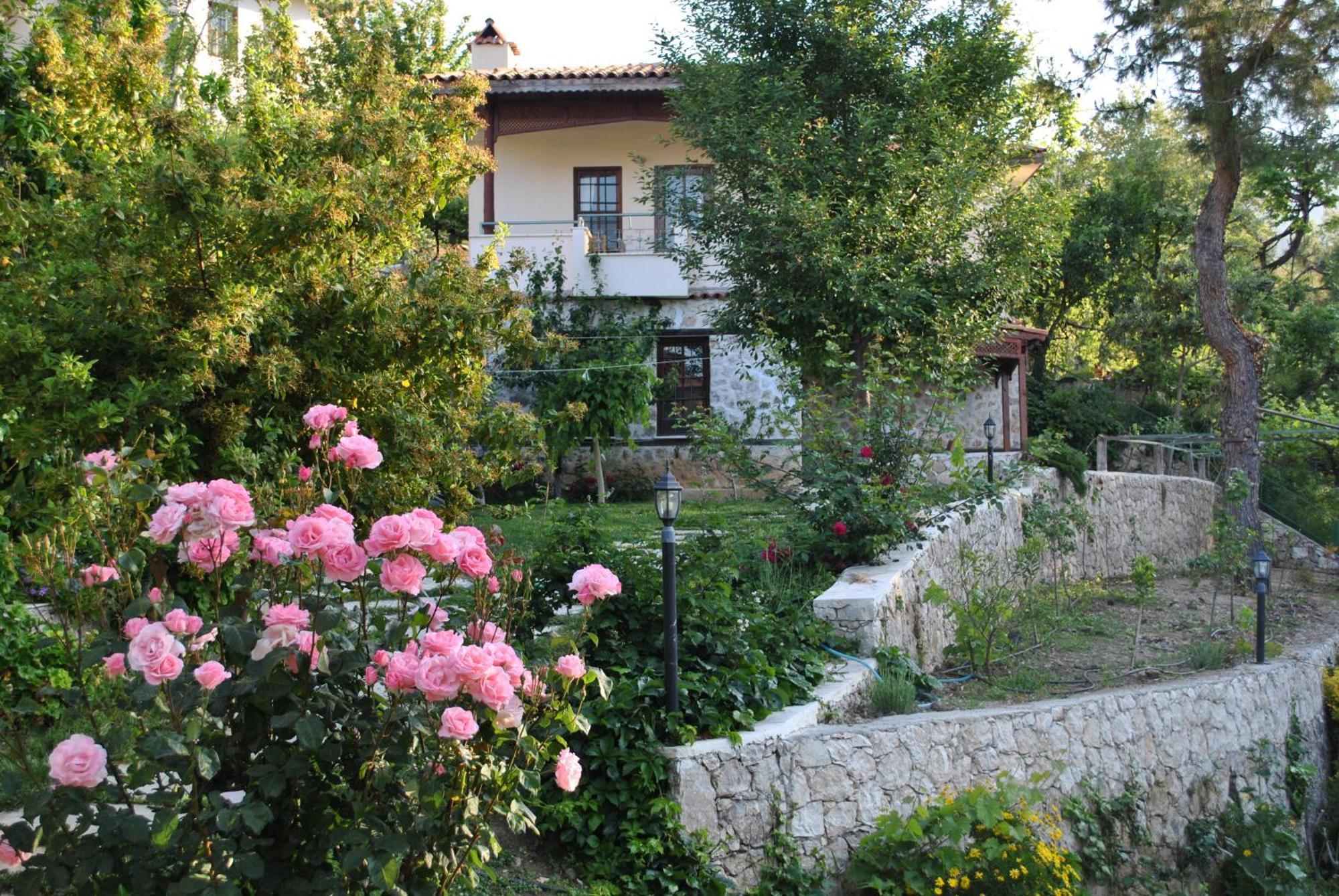 Kleo Cottages Kalkan Kültér fotó