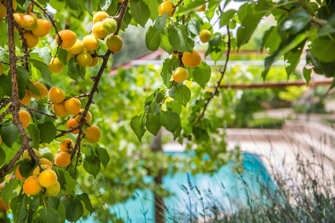 Kleo Cottages Kalkan Kültér fotó