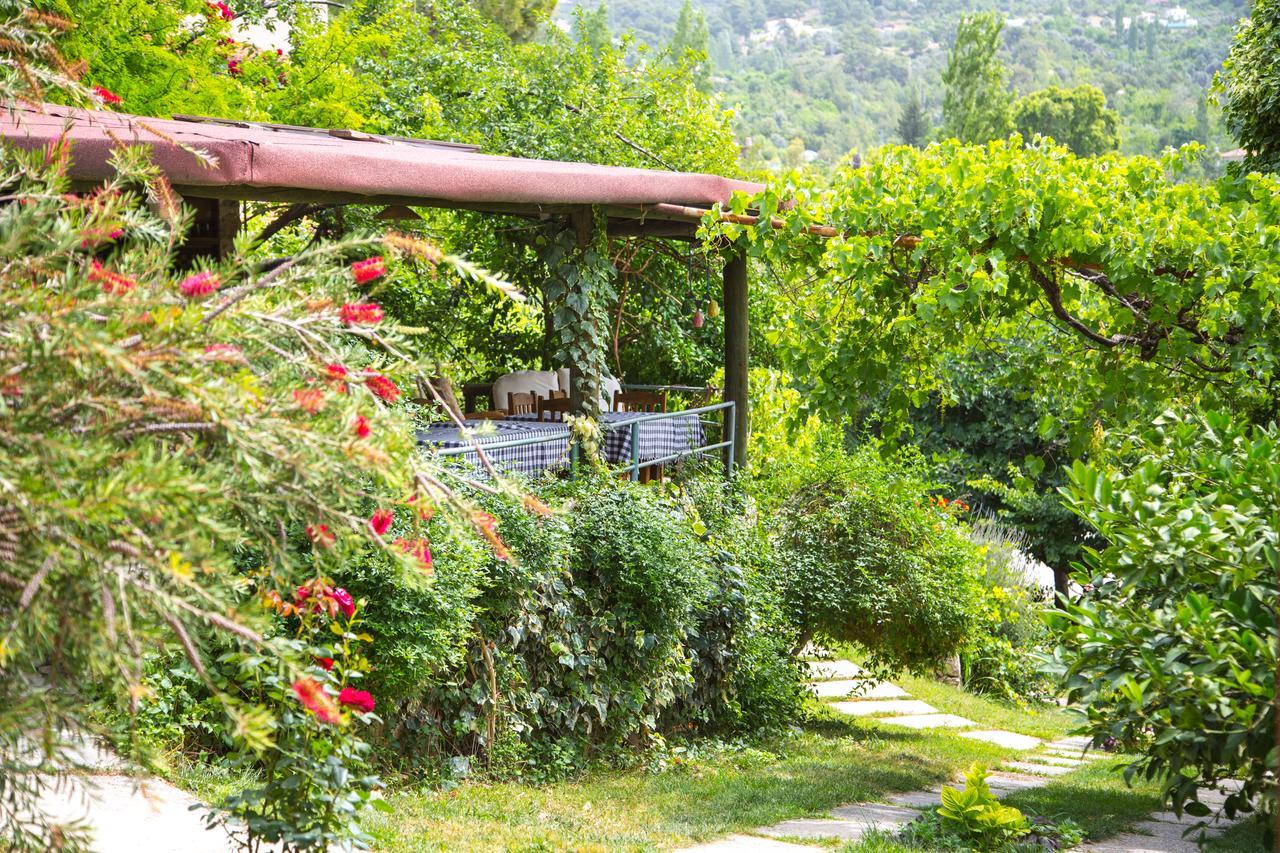 Kleo Cottages Kalkan Kültér fotó